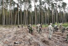 Sadzenie lasu z żołnierzami NATO